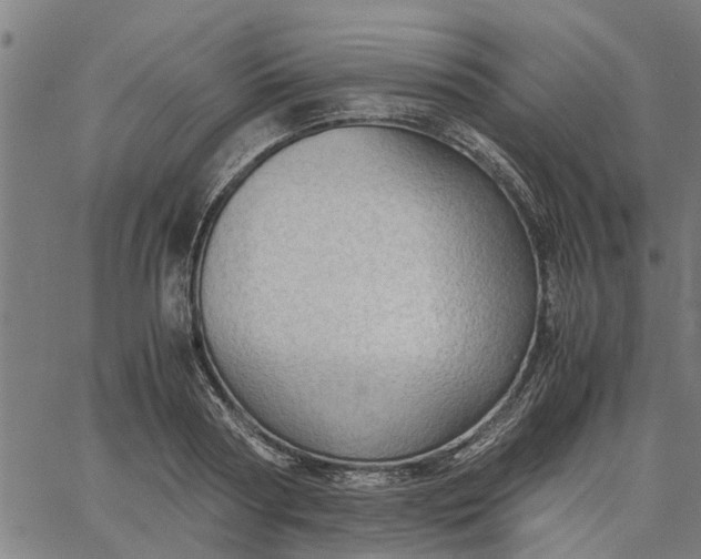 X0000065240794200603031737