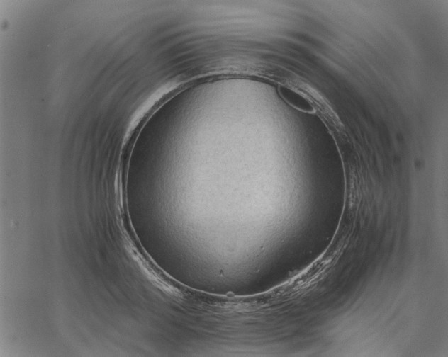 X0000065240796200603031737