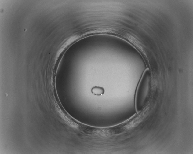 X0000065240797200603031737