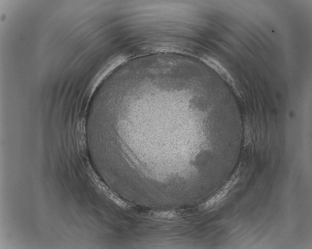 X0000065240798200603031737