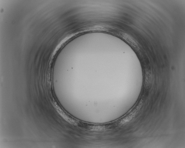 X0000065240800200603031737