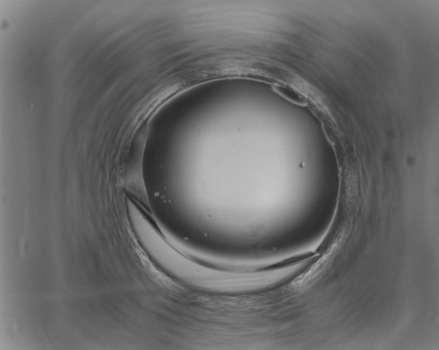 X0000065240801200603031737