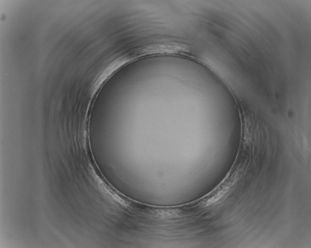 X0000065240802200603031737