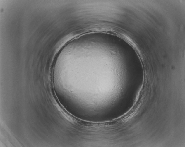 X0000065240803200603031737