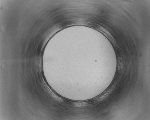 X0000065240804200603031737