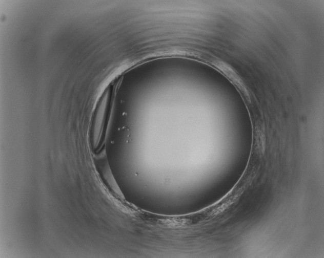 X0000065240805200603031737