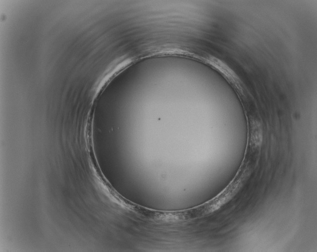 X0000065240806200603031737