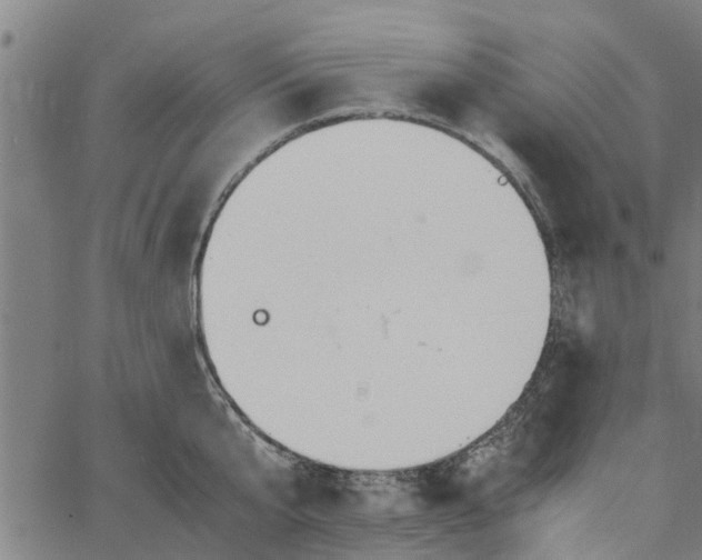 X0000065240807200603031737