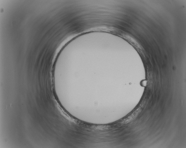 X0000065240808200603031737