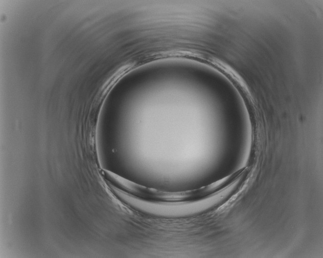 X0000065240809200603031737