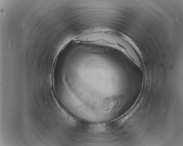 X0000065240810200603031737