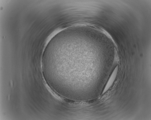 X0000065240811200603031737