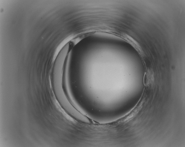 X0000065240812200603031737