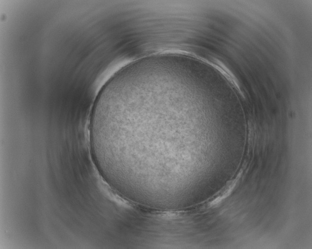 X0000065240814200603031737