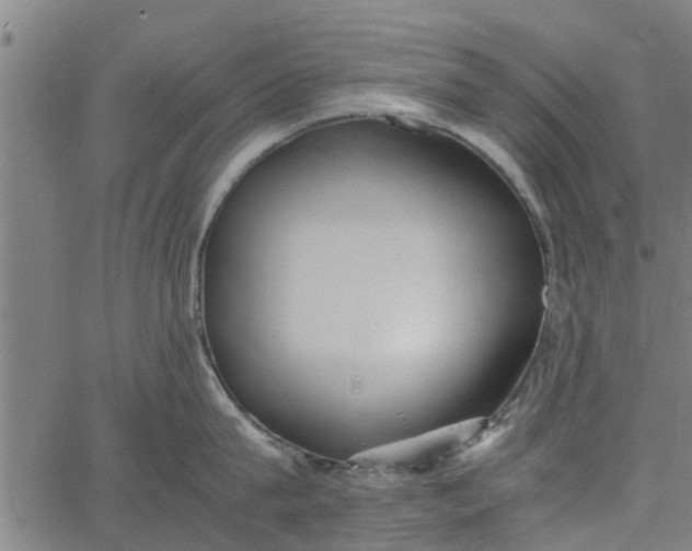 X0000065240815200603031737