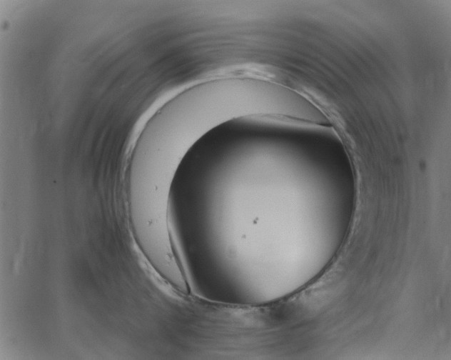 X0000065240816200603031737