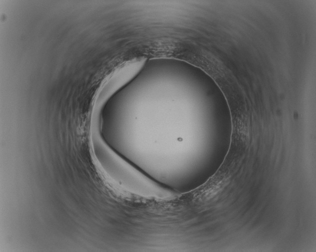 X0000065240818200603031736