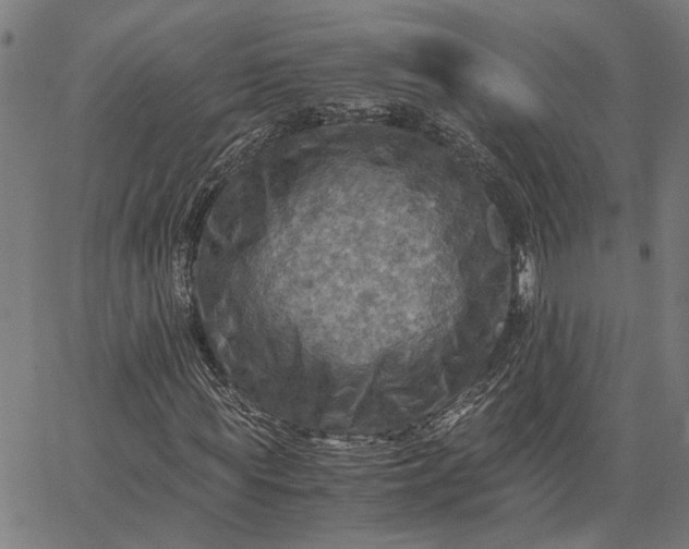 X0000065240819200603031736