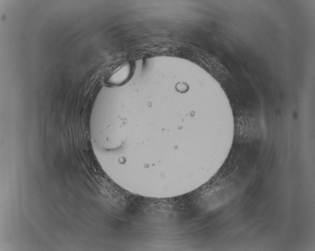 X0000065240820200603031736