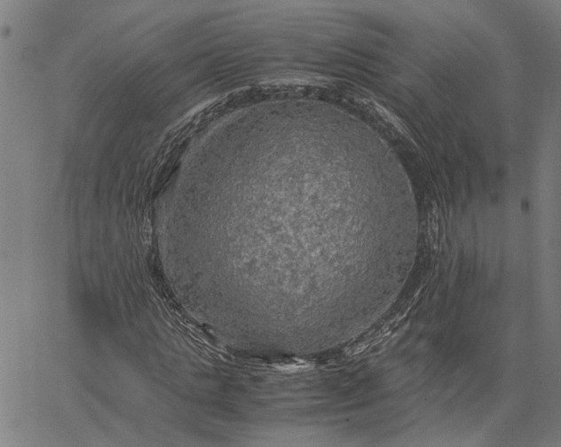 X0000065240821200603031736