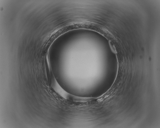 X0000065240822200603031736