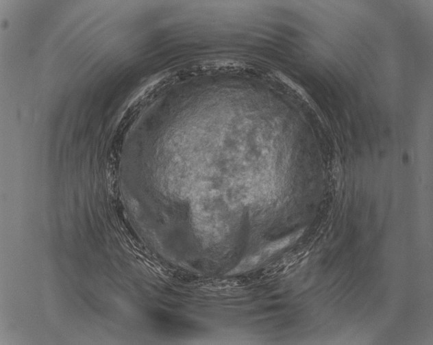 X0000065240823200603031736