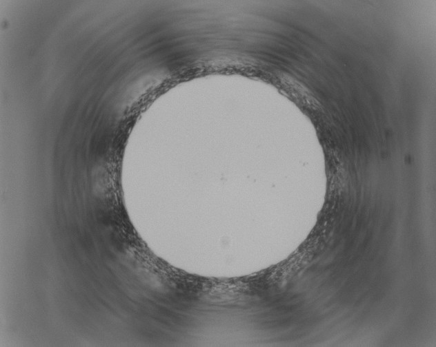 X0000065240824200603031736