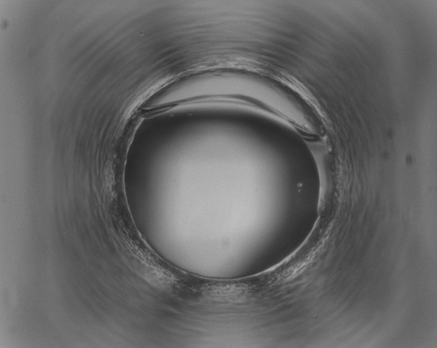 X0000065240826200603031736