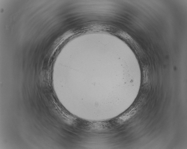 X0000065240828200603031736