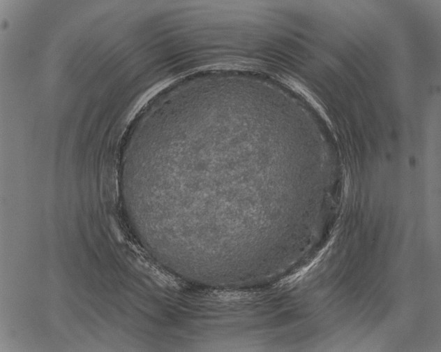 X0000065240829200603031736