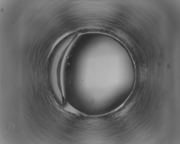 X0000065240830200603031736