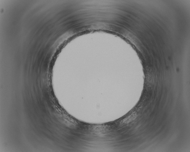 X0000065240832200603031736