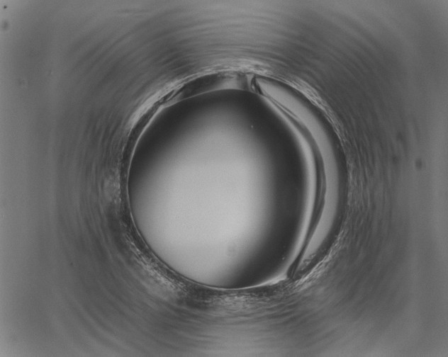 X0000065240834200603031736