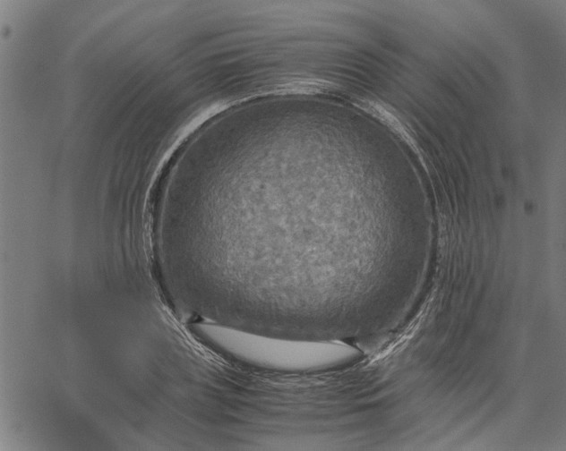 X0000065240835200603031736