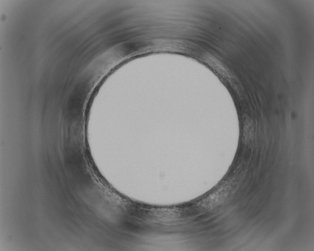 X0000065240836200603031736