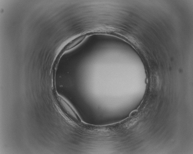 X0000065240838200603031736