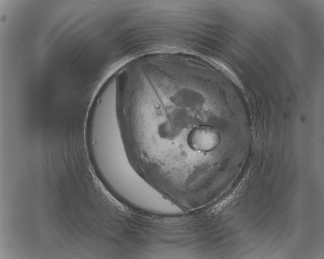 X0000065240839200603031736