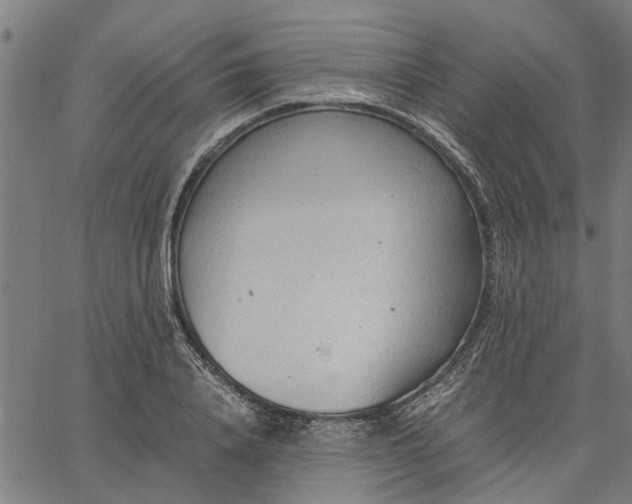 X0000065240840200603031736