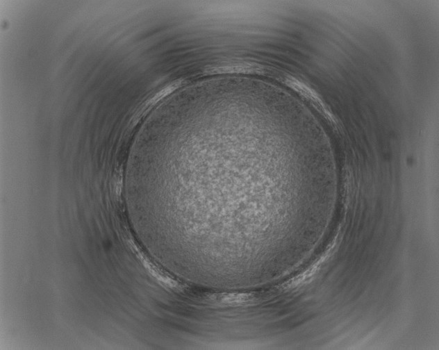 X0000065240841200603031736