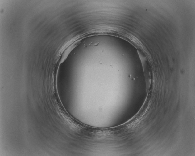 X0000065240842200603031736