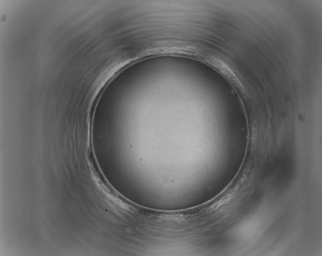 X0000065240844200603031736