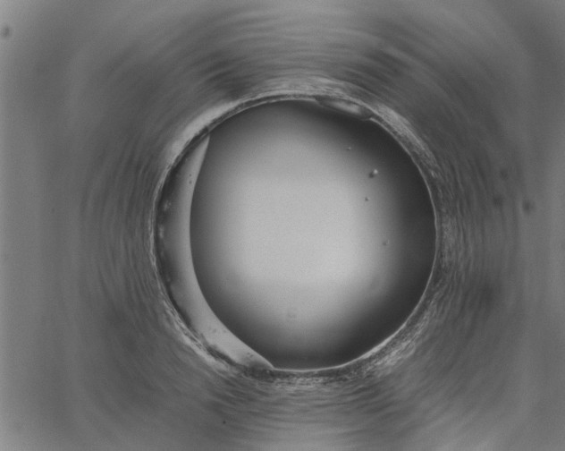 X0000065240846200603031736