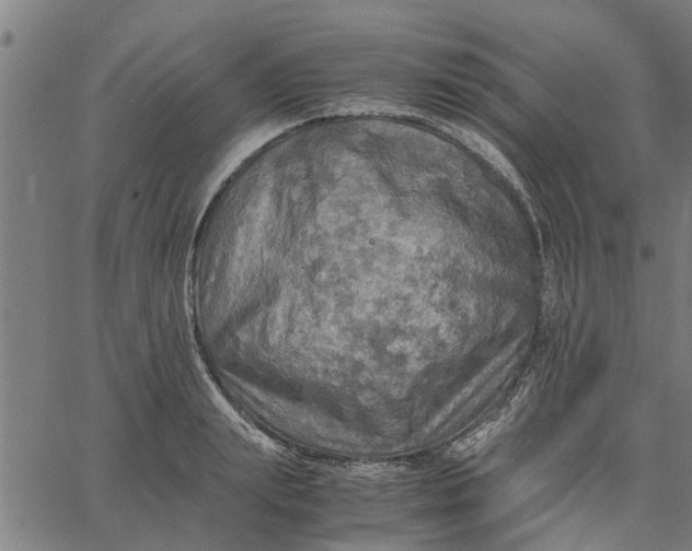 X0000065240847200603031736