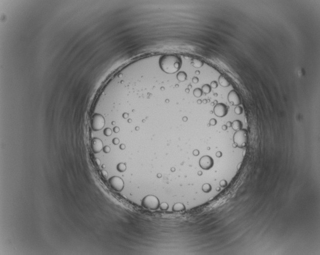 X0000065240848200603031736