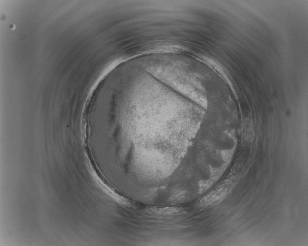 X0000065240851200603031736