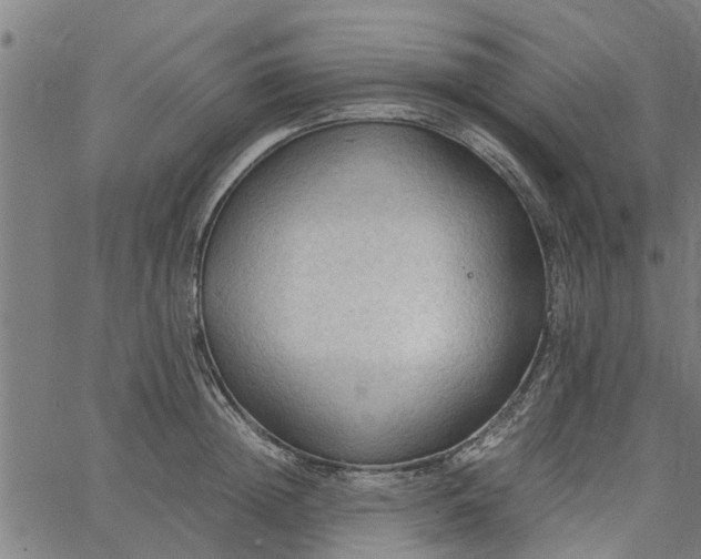 X0000065240852200603031736