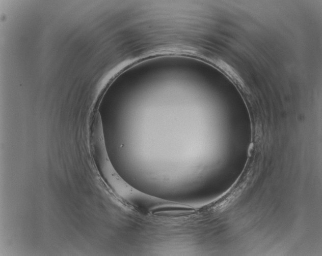 X0000065240854200603031736