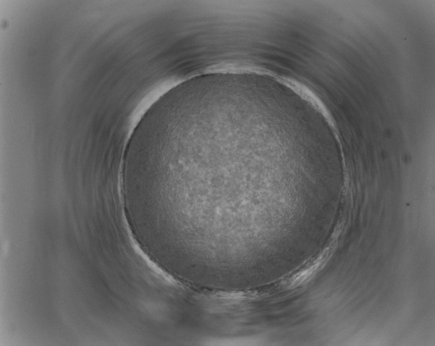 X0000065240855200603031736