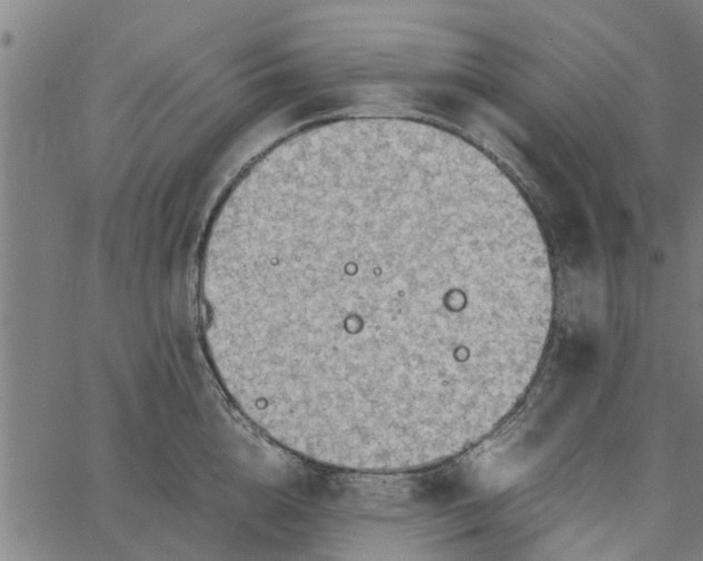 X0000065240856200603031737