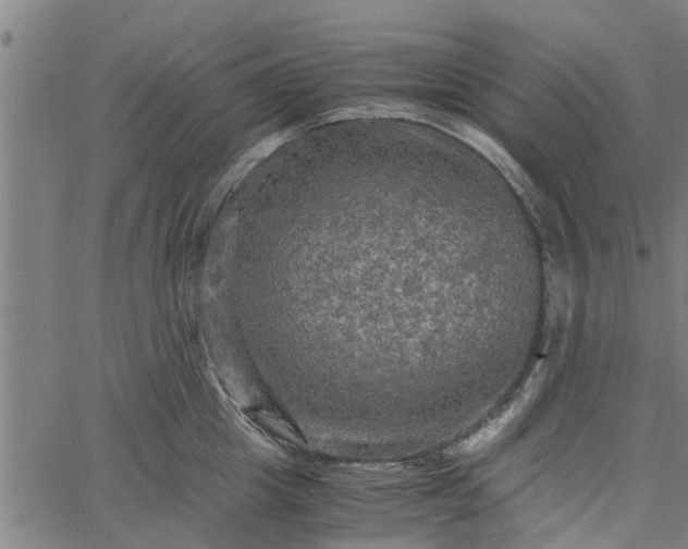 X0000065240857200603031737